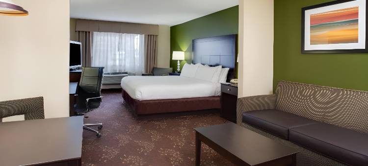 哈维 - 马雷罗智选假日酒店(Holiday Inn Express Harvey-Marrero)图片