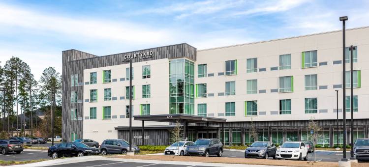 萨凡纳机场万怡酒店(Courtyard Savannah Airport)图片