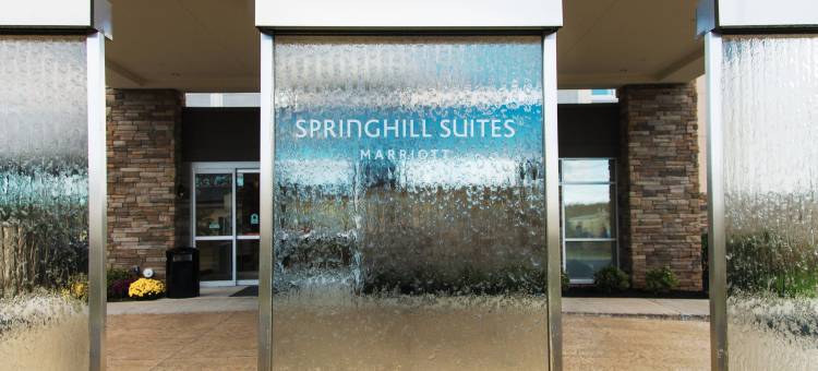 SpringHill Suites Somerset Franklin Township图片