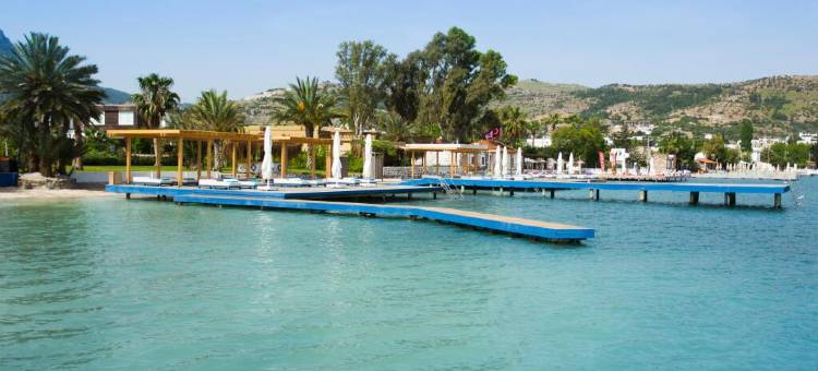 马尔马拉博德鲁姆 - 限成人入住(The Marmara Bodrum - Adult Only)图片