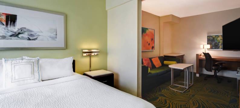 巴尔的摩华盛顿国际机场 SpringHill Suites 酒店(SpringHill Suites Baltimore BWI Airport)图片