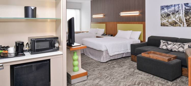 阿什本杜勒斯北SpringHill套房酒店(SpringHill Suites Ashburn Dulles North)图片