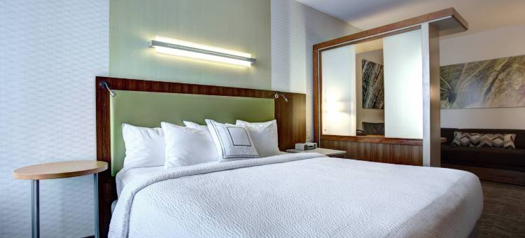 哈里斯堡赫尔希万豪SpringHill酒店(SpringHill Suites Harrisburg Hershey)图片