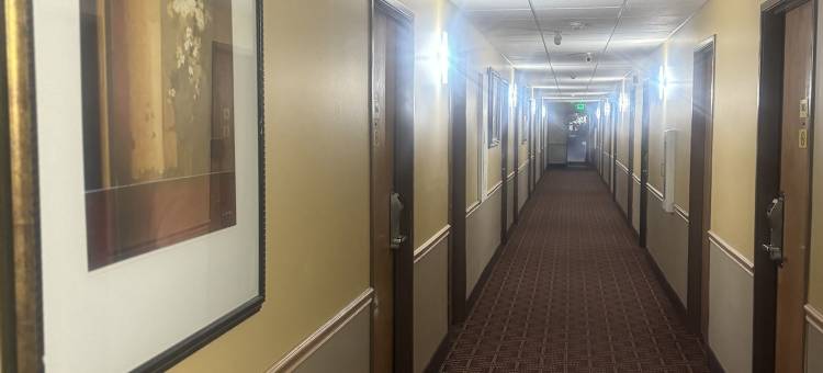 斯巴达温德姆速8酒店(Super 8 by Wyndham Sparta)图片