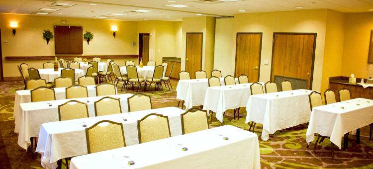 克利奇站-美国东6公路欢朋套房酒店(Hampton Inn & Suites College Station/US 6-East Bypass)图片