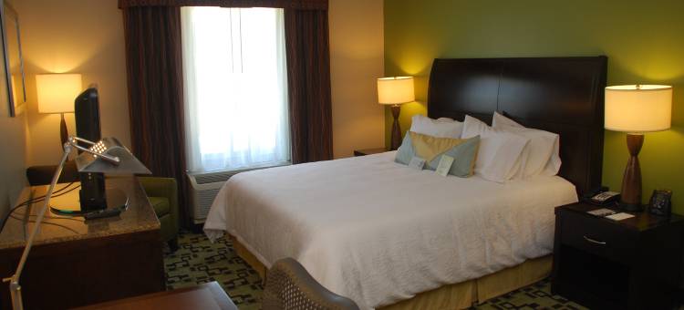 伯明翰/特鲁斯维尔希尔顿花园酒店(Hilton Garden Inn Birmingham/Trussville)图片