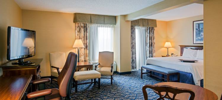 塞勒姆东欢朋酒店 - 电气路(Hampton Inn Salem East-Electric Road)图片