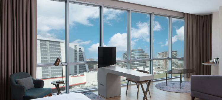 伊斯坦布尔卡厄特哈内万豪德尔塔酒店(Delta Hotels Istanbul Kagithane)图片