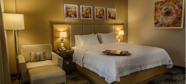 萨卡特卡斯欢朋酒店(Hampton Inn by Hilton Zacatecas)图片