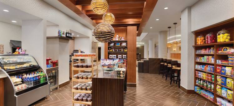 奥兰多国际大道地标公园希尔顿安泊酒店(Embassy Suites by Hilton Orlando International Drive ICON Park)图片