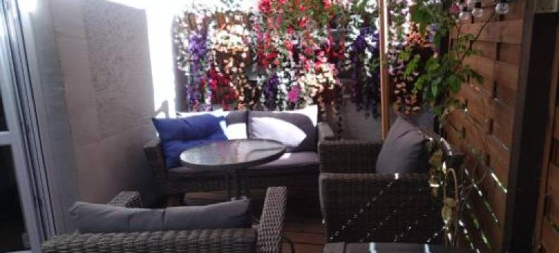 Apartament Antresola Drzewna图片