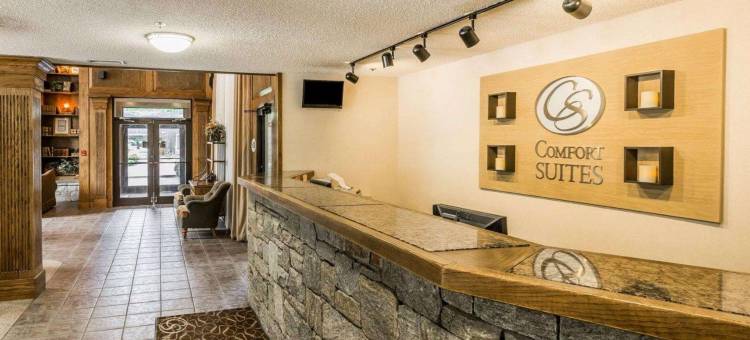 布恩大学区舒适套房酒店(Comfort Suites Boone - University Area)图片