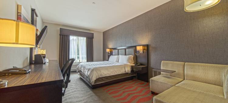 Holiday Inn & Suites 休斯顿西 - 西区高速路公园(Holiday Inn & Suites Houston West - Westway Park)图片