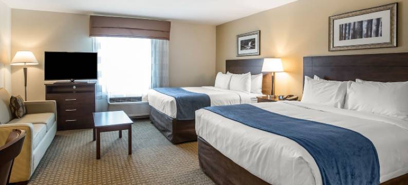 卡特尔斯维尔美茵斯坦套房酒店(MainStay Suites Cartersville)图片