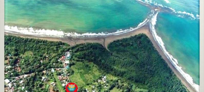 巴利纳天堂公寓酒店(Ballena Paradise Apartahotel)图片