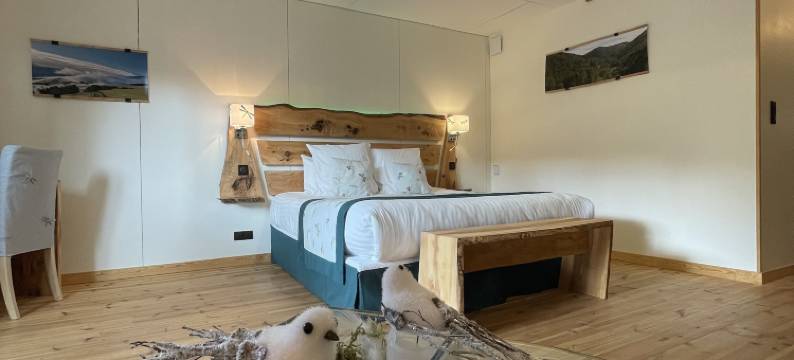 感官火山酒店(Le Volcans des Sens)图片