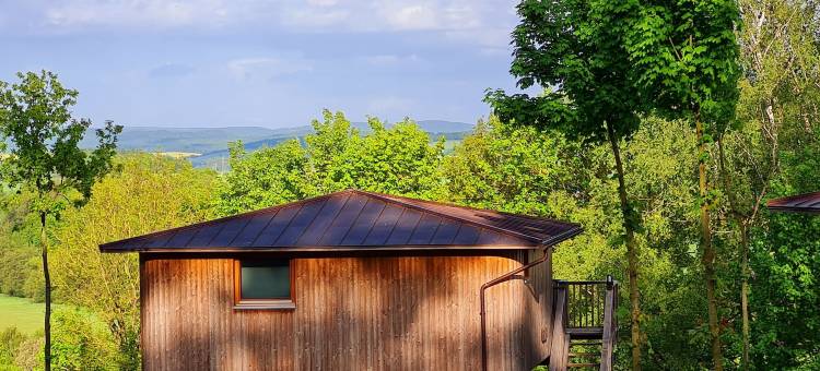 瓦尔德泉酒店 - 艾珍的树屋酒店(Hotel Waldquelle - Baumhaushotel Aerzen)图片