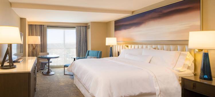 坦帕海滨威斯汀酒店(The Westin Tampa Waterside)图片