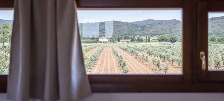 Castiglione土地农家乐(Agriturismo Terre di Castiglione)图片