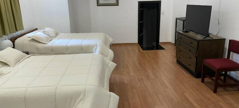 阿尔斯顿旅馆酒店(Alston Inn Hotel)图片