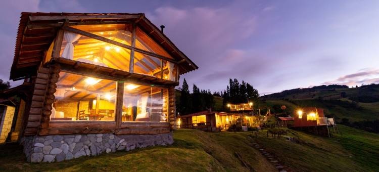 梦中的雪松(El Cedro SOÑADO)图片