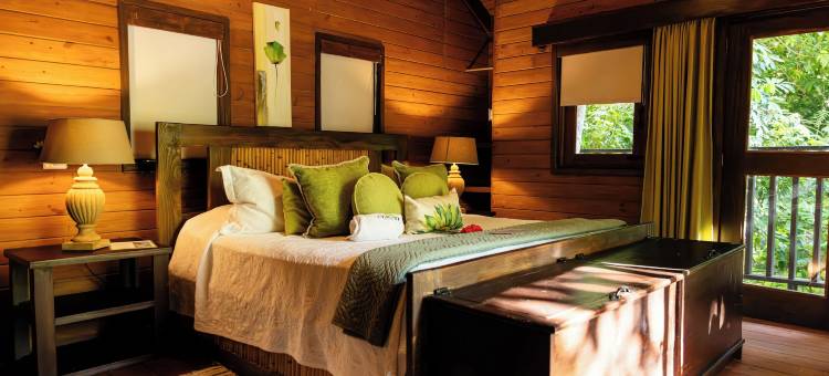 柏拉图生态小屋酒店(Platon Ecolodge)图片