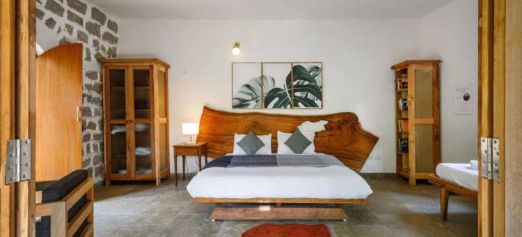 Bilwa Estate的丛林住宿(Jungle Stay by Bilwa Estate)图片