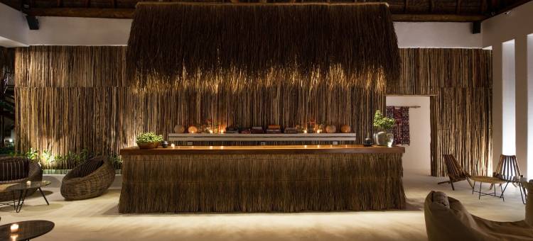 帕拉帕斯海滨HM别墅(Villas HM Palapas del Mar)图片