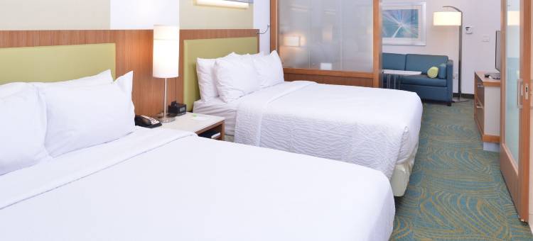 罗利卡瑞SpringHill Suites 酒店(SpringHill Suites Raleigh Cary)图片
