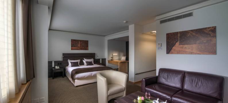 苏黎世皇冠假日酒店(Crowne Plaza ZURICH by IHG)图片