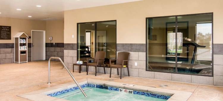 舒适套房酒店(Comfort Suites)图片