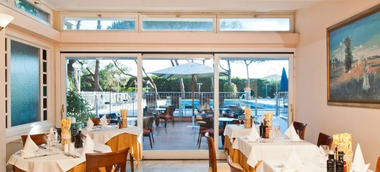 韦西利亚宫殿酒店(Versilia Palace Hotel)图片