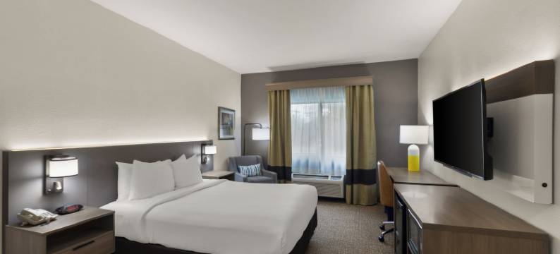 舒适套房酒店(Comfort Inn & Suites)图片