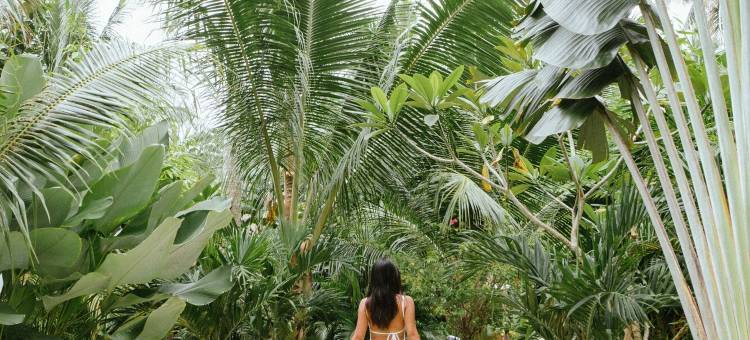 锡亚高热带寺庙度假村(Tropical Temple Siargao Resort)图片