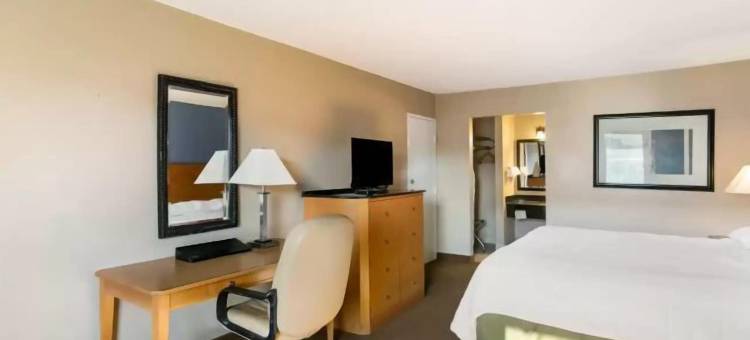 罗德威旅馆(Dutchland Motel)图片