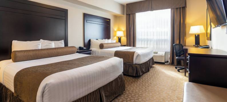 怀特考特卡纳塔酒店(Kanata Whitecourt)图片