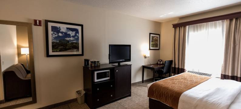 波波的舒适酒店套房(Comfort Inn & Suites)图片