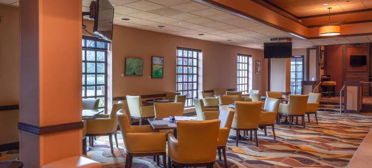 亚特兰大格威内特广场圣淘沙酒店(Sonesta Hotel Gwinnett Place Atlanta)图片