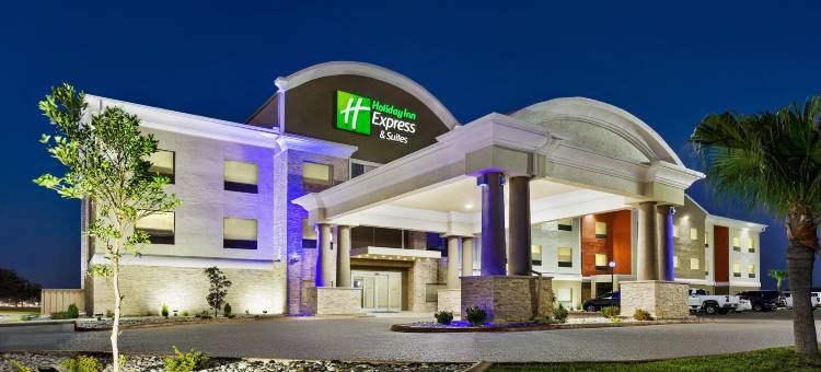 智选假日套房酒店任务麦卡伦地区(Holiday Inn Express & Suites Mission-Mcallen Area)图片