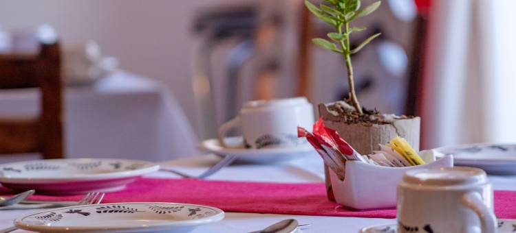 拉卡索纳酒店30号(Hotel la Casona 30)图片