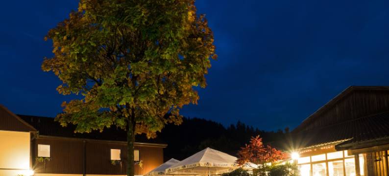 弗兰肯森林华格纳酒店(Wagners Hotel im Frankenwald)图片