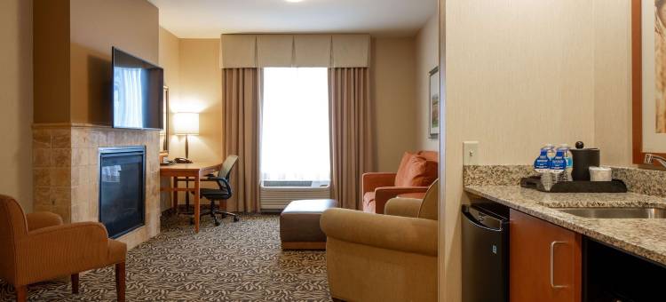 锡达福尔斯希尔顿花园酒店(Hilton Garden Inn Cedar Falls)图片