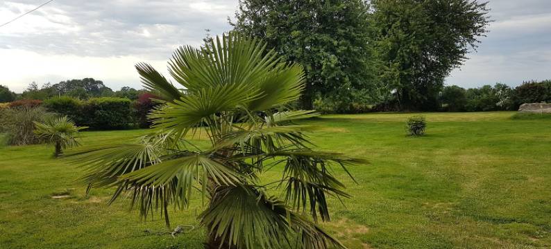 布罗舍里民宿(La Brocherie)图片