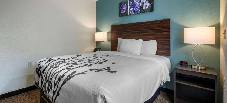 杰克逊维尔机场舒眠酒店(Sleep Inn Jacksonville Airport)图片