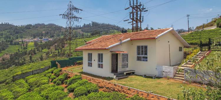 尼尔吉里斯温泉(The Springs Nilgiris)图片