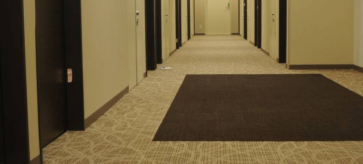 灿路都酒店-熊谷站前(Hotel Sunroute Kumagaya Station)图片