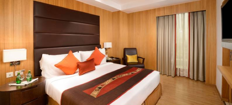 德里斯维尔特-丽笙精选旗下(Svelte Delhi, A Member of Radisson Individuals)图片