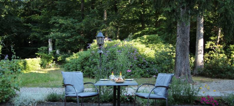 哈特森林酒店(Hardtwald Hotel)图片