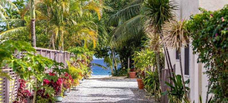 珊瑚金沙公寓(Coral Sands Apartments)图片