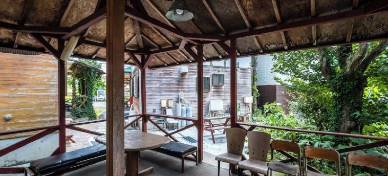 鲁比纳斯河口湖(Lupinus Kawaguchiko)图片